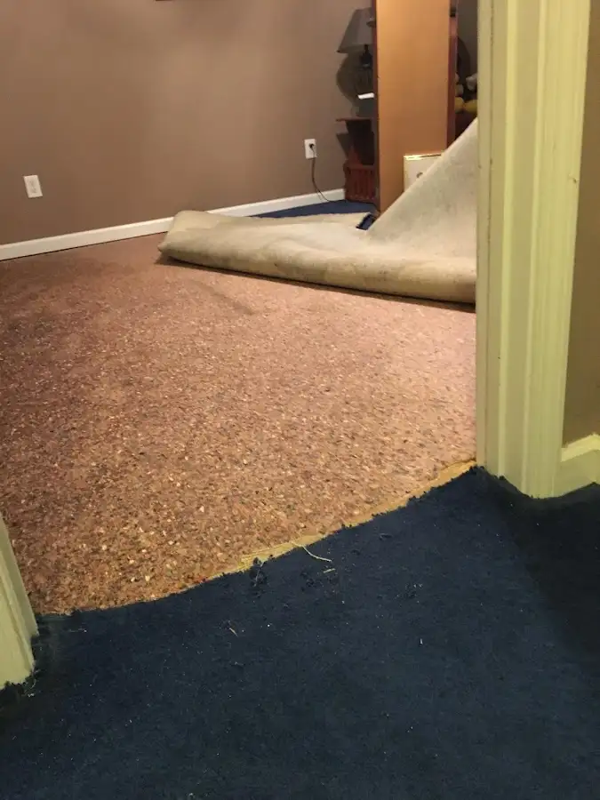 Carpet pad removal revealing water damage during Water Mitigation Services in Palm River-Clair Mel