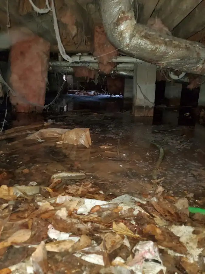 Crawl space flood assessment for Leak Detection & Repair in Palm River-Clair Mel