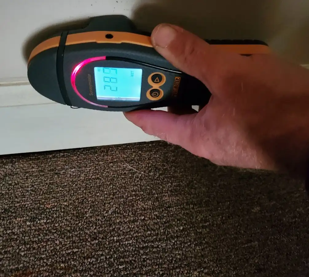 Moisture detection at baseboard during Mold Inspection & Testing in Palm River-Clair Mel