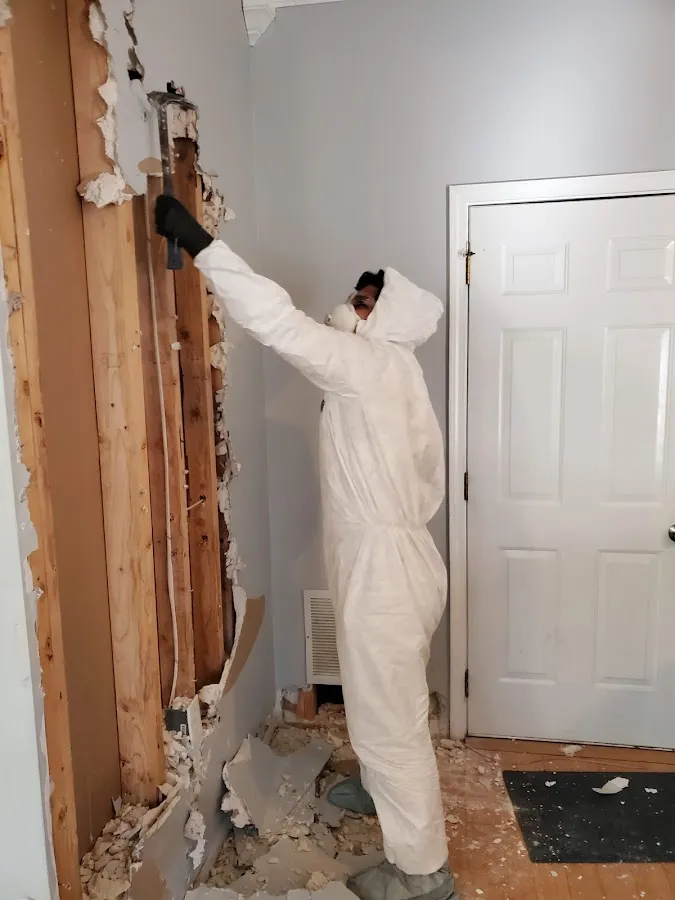 Water Damage Restoration services in Palm River-Clair Mel, FL