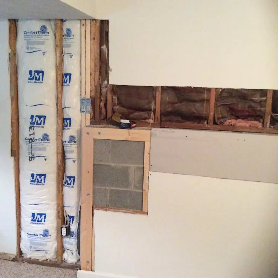 Wall insulation replacement during Basement Flood Cleanup in Palm River-Clair Mel